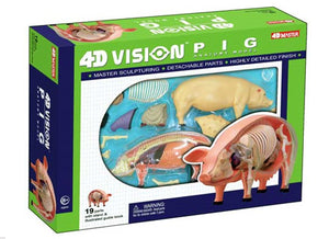 4D Puzzle - Pig Anatomy Model