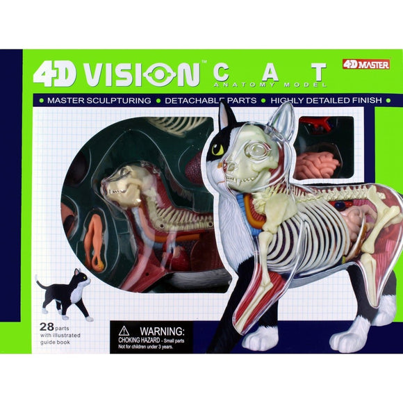 4D Master - Cat Anatomy Model (Black and White)
