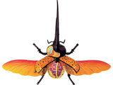 4D Master - Hercules Beetle Anatomy Model