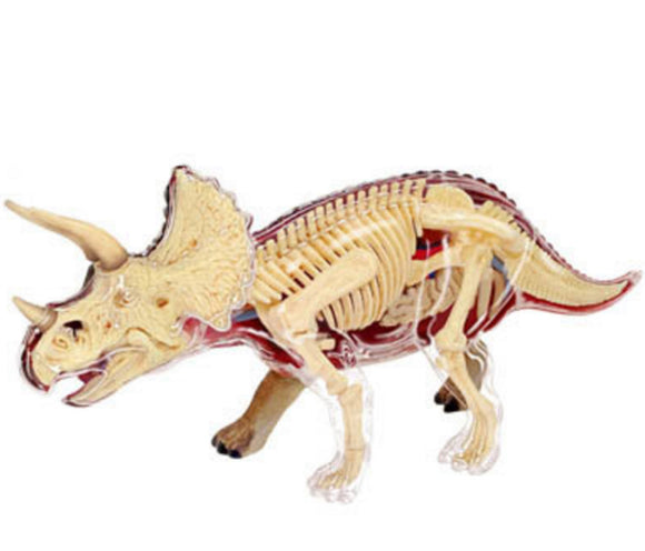 4D Master - Triceratops Anatomy Model