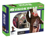 4D Master - Bear Anatomy Model