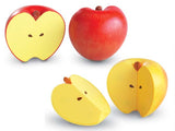 Magnetic Apple Fractions