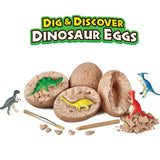 Dig & Discover - Dinosaur Eggs (1pcs)