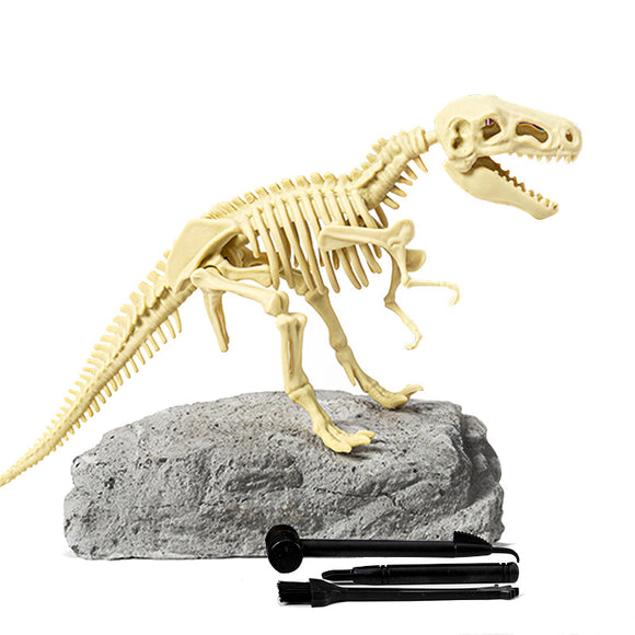 Dinosaur Fossil Model (Assembly required)