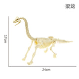 Dinosaur Fossil Model (Assembly required)