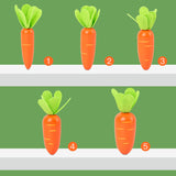 Harvest Carrots Number Eye testing Game
