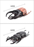Plastic Model - Big Beetle (6 pcs)