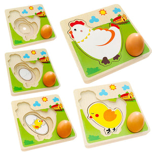 Chicken Growing up Puzzle